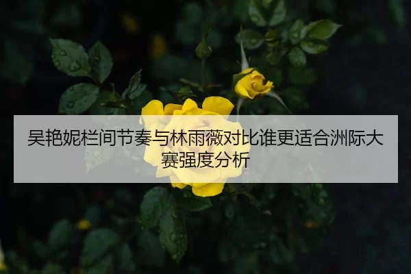 吴艳妮栏间节奏与林雨薇对比谁更适合洲际大赛强度分析