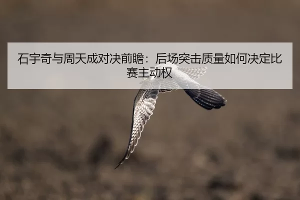 shi-yu-qi-yu-zhou-tian-cheng-dui-jue-qian-zhan-hou-chang-tu-ji-zhi-liang-ru-he-jue-ding-bi-sai-zhu-dong-quan-2-481.jpg