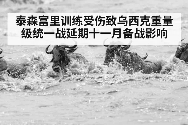 泰森富里训练受伤致乌西克重量级统一战延期十一月备战影响