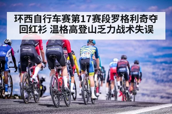 环西自行车赛第17赛段罗格利奇夺回红衫 温格高登山乏力战术失误（leyu）